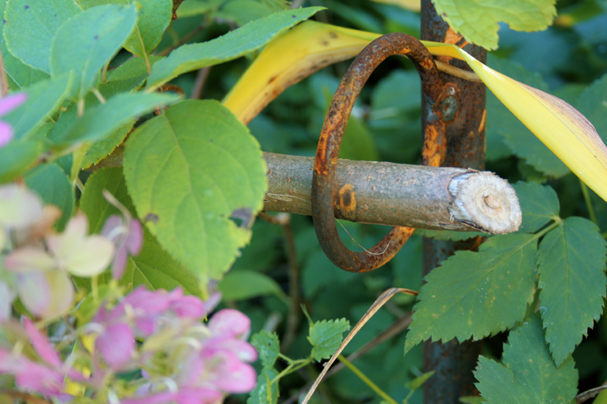 Staudenhalter, Beetbegrenzer, 1 Meter, Zaun, Gartenzaun, Beetrahmen, Rankhilfe, Rankgerüst, Raumteiler im Garten, Strauchstütze