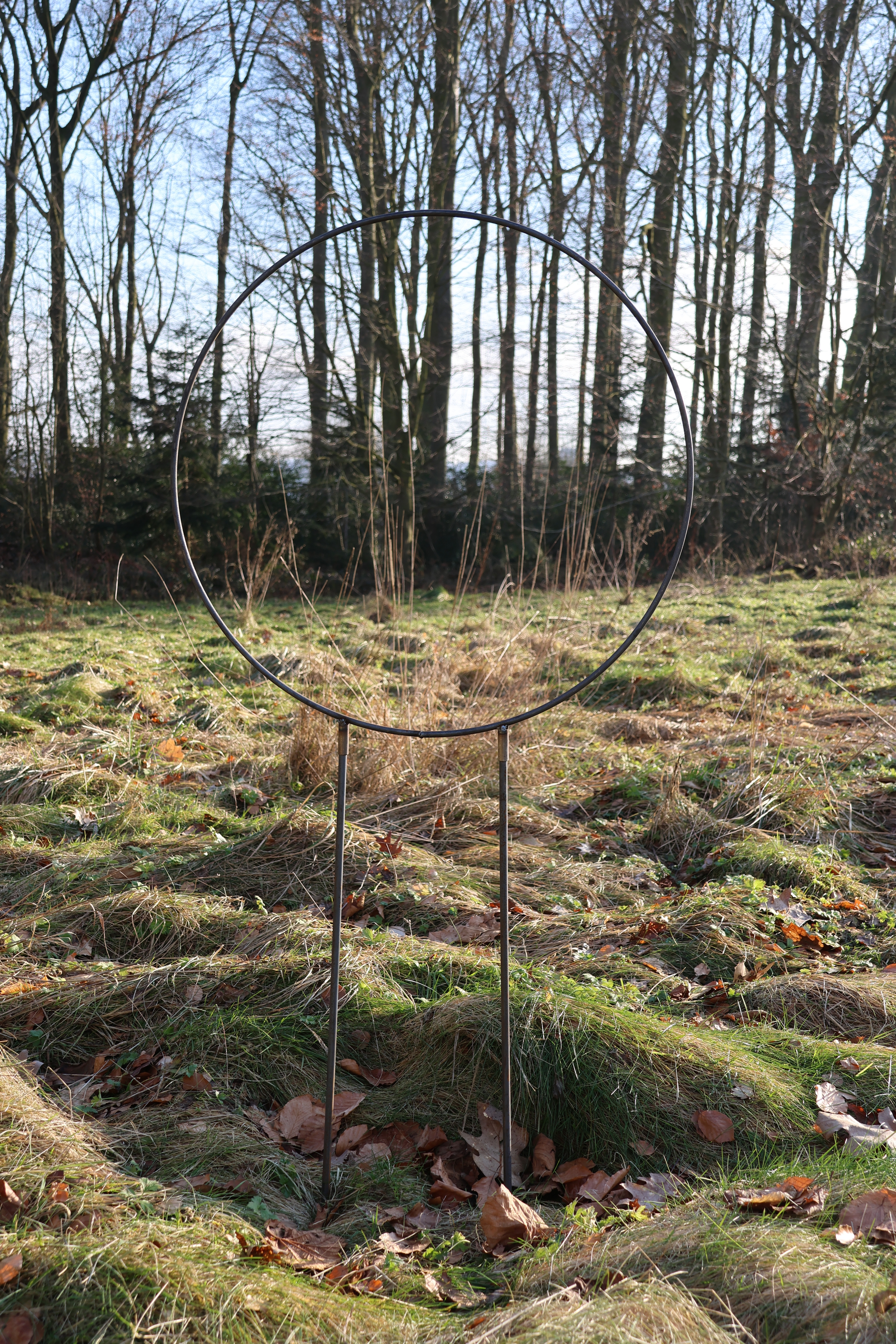 Ring auf Stab, Rankhilfe, Rankgerüst