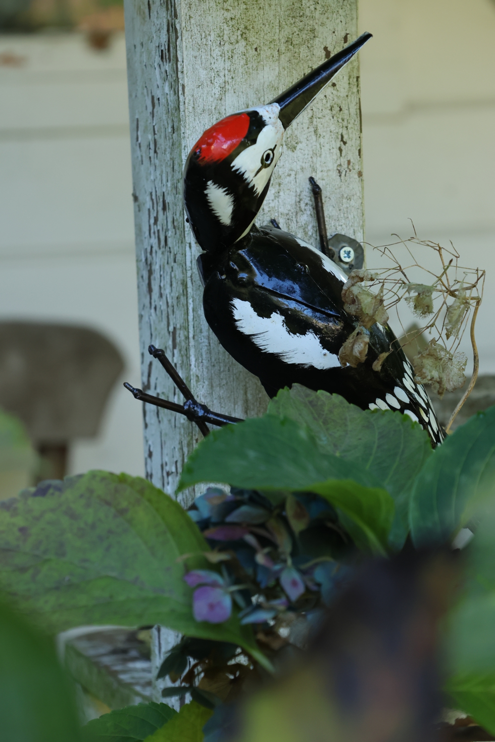 Specht, Specht aus Metall, Dekospecht, Gartenvogel Specht, Buntspecht, Fair Trade Specht