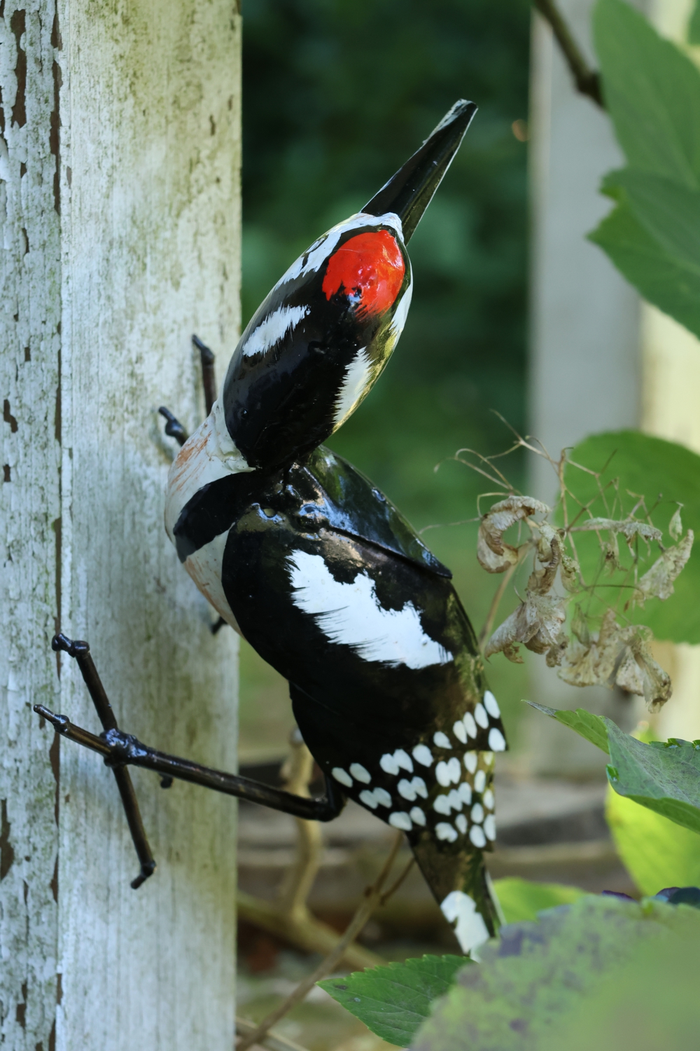 Specht, Specht aus Metall, Dekospecht, Gartenvogel Specht, Buntspecht, Fair Trade Specht
