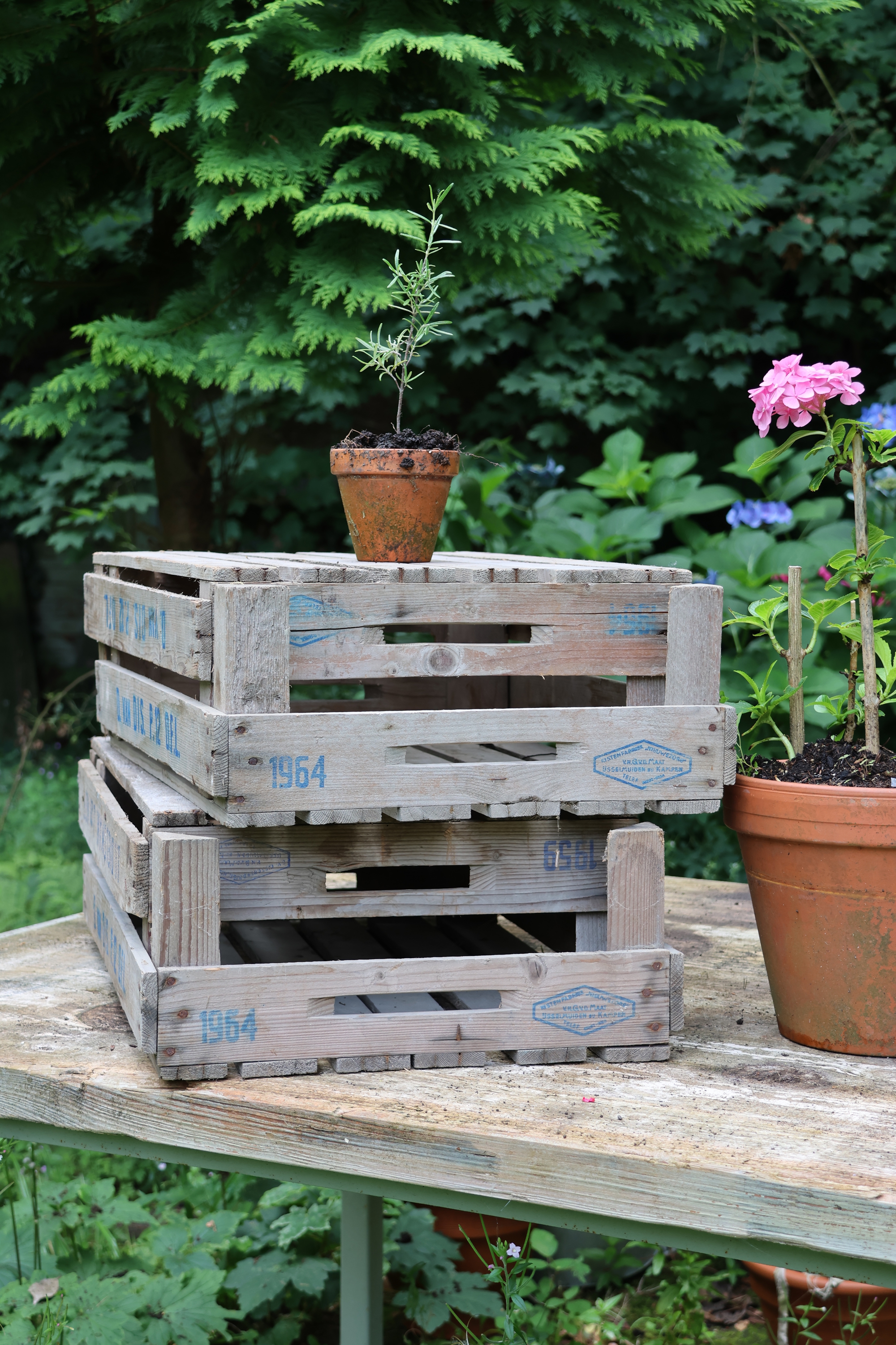 4er Set alte Holzkiste, Lagerkiste holz