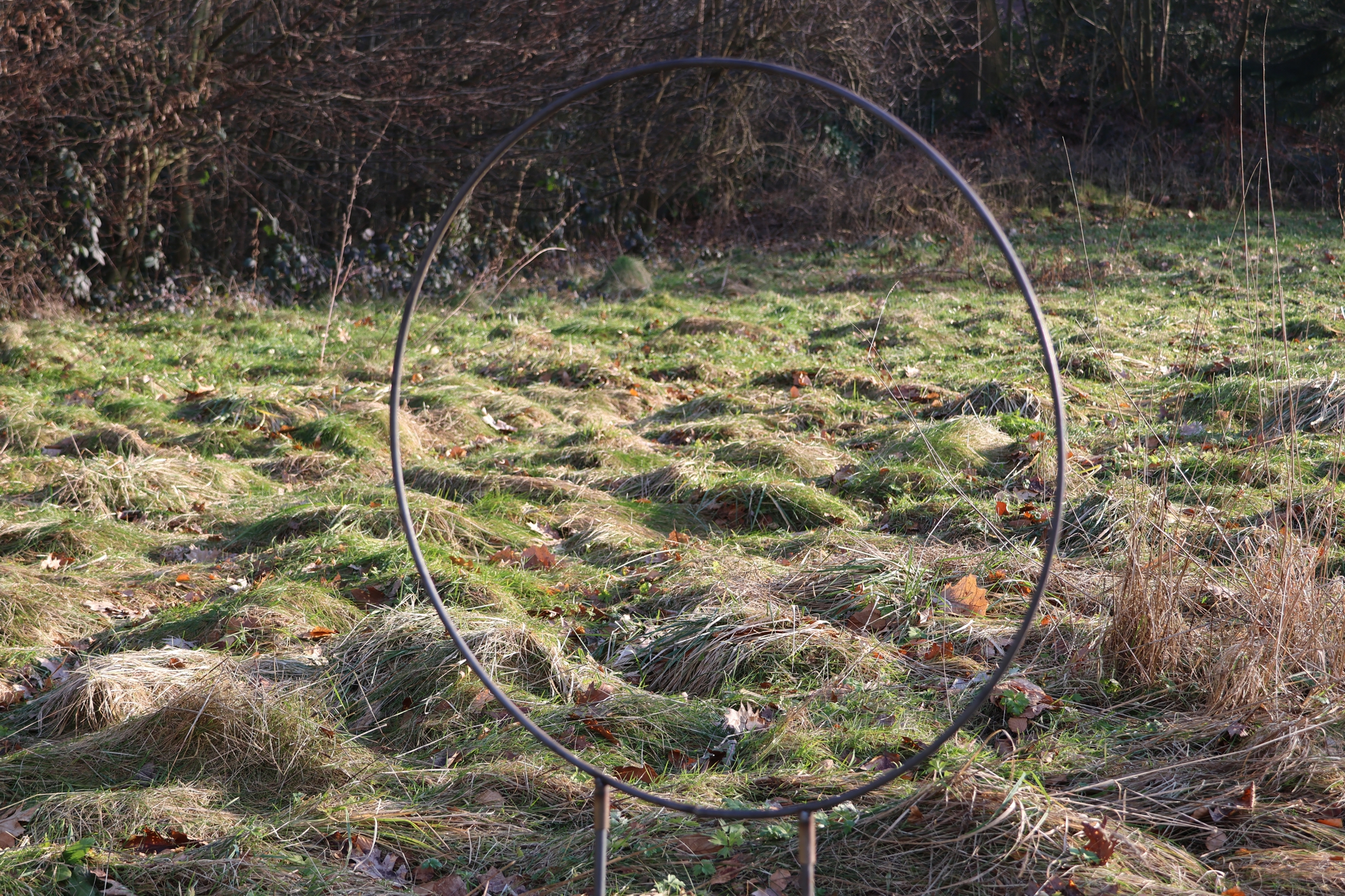 Ring auf Stab, Rankhilfe, Rankgerüst