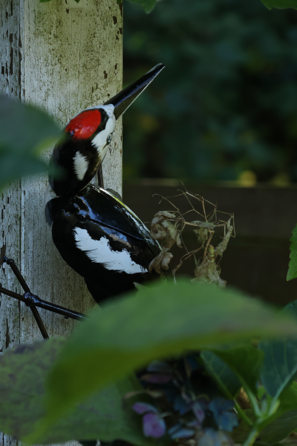 Specht, Specht aus Metall, Dekospecht, Gartenvogel Specht, Buntspecht, Fair Trade Specht