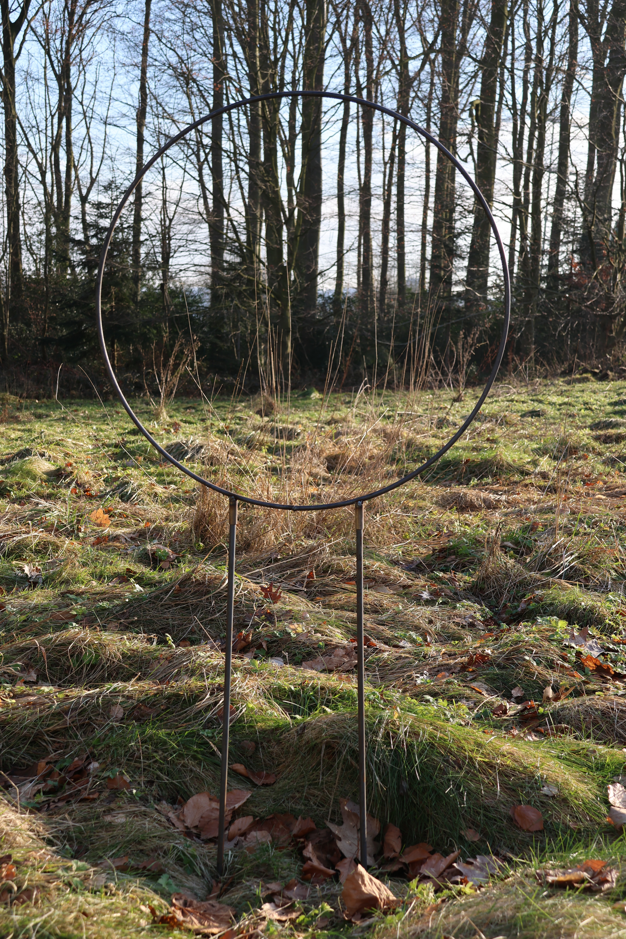 Ring auf Stab, Rankhilfe, Rankgerüst