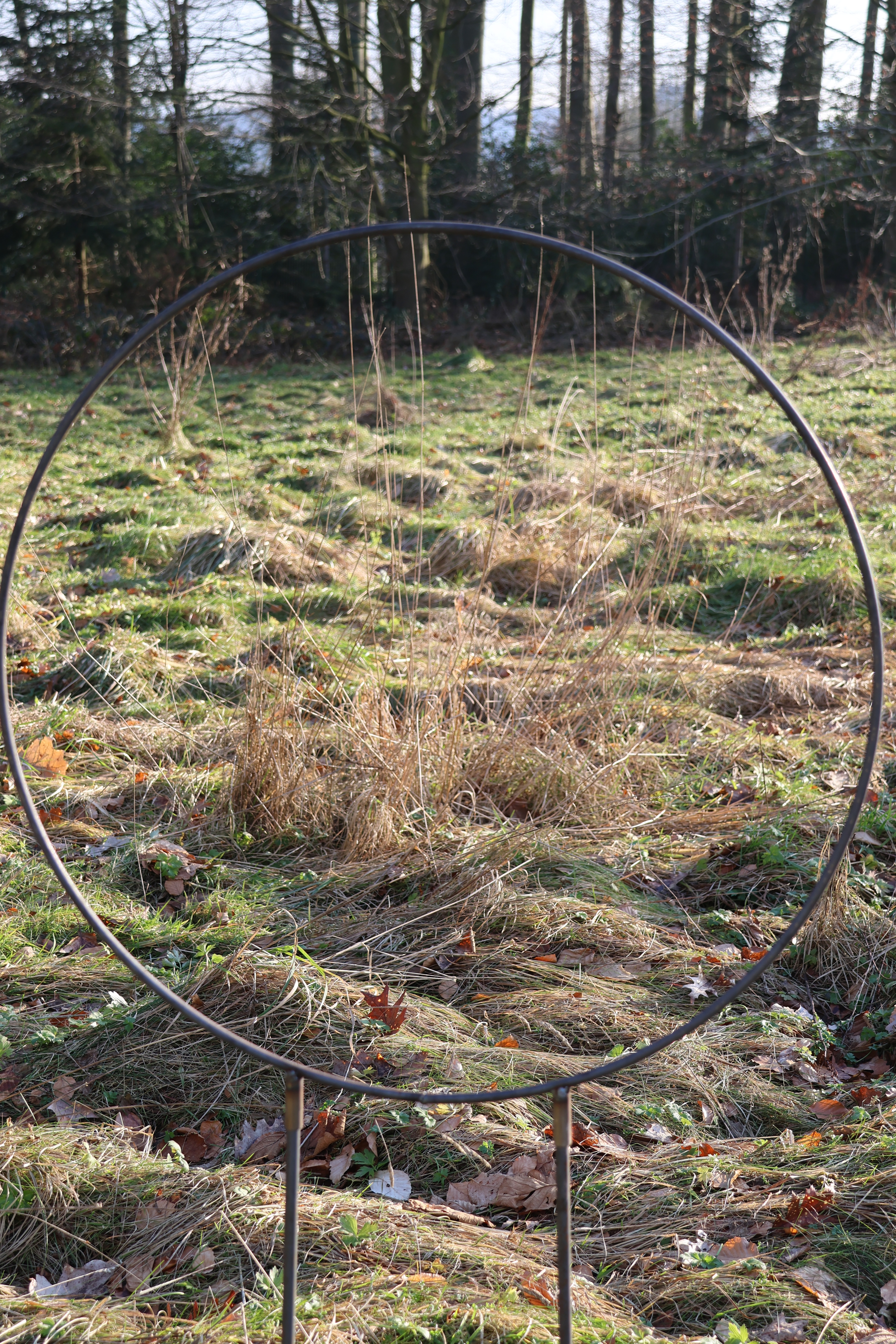 Ring auf Stab, Rankhilfe, Rankgerüst