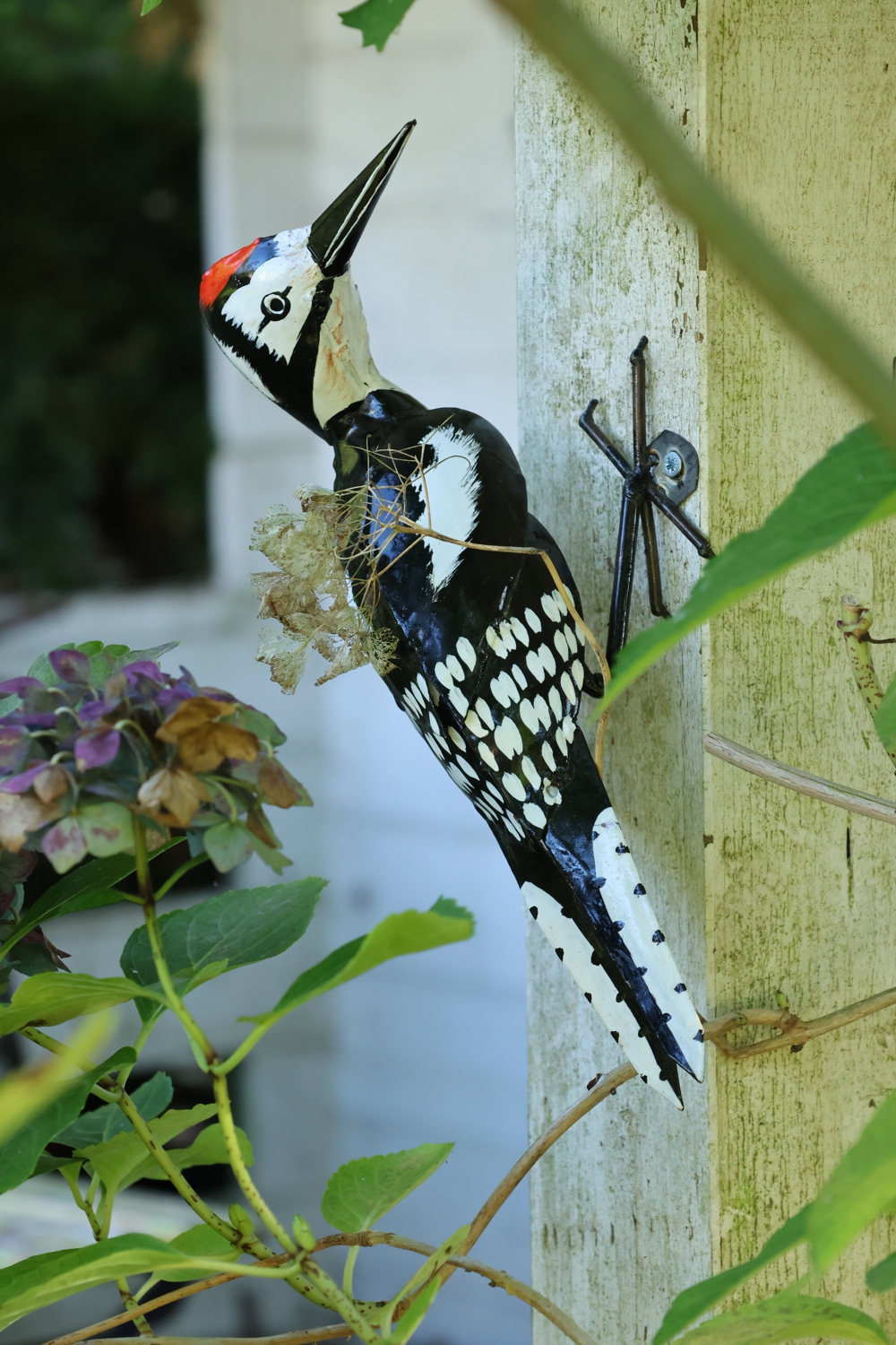 Specht, Specht aus Metall, Dekospecht, Gartenvogel Specht, Buntspecht, Fair Trade Specht
