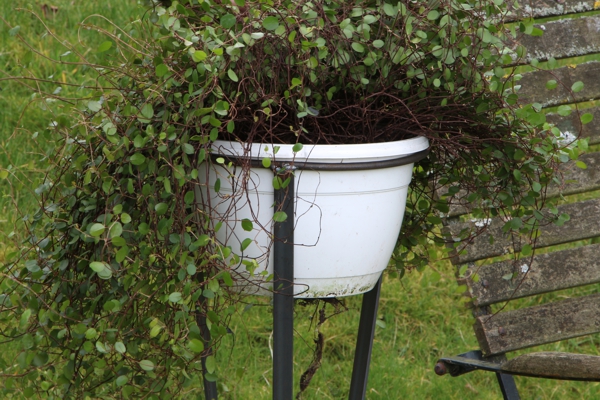 Halter für Blumentöpfe, Rankhilfe zum stecken,  Halter für Blumenampeln, Halter für Vogeltränke, Sockel für Vogelfutterschale, Kranzhalter, 