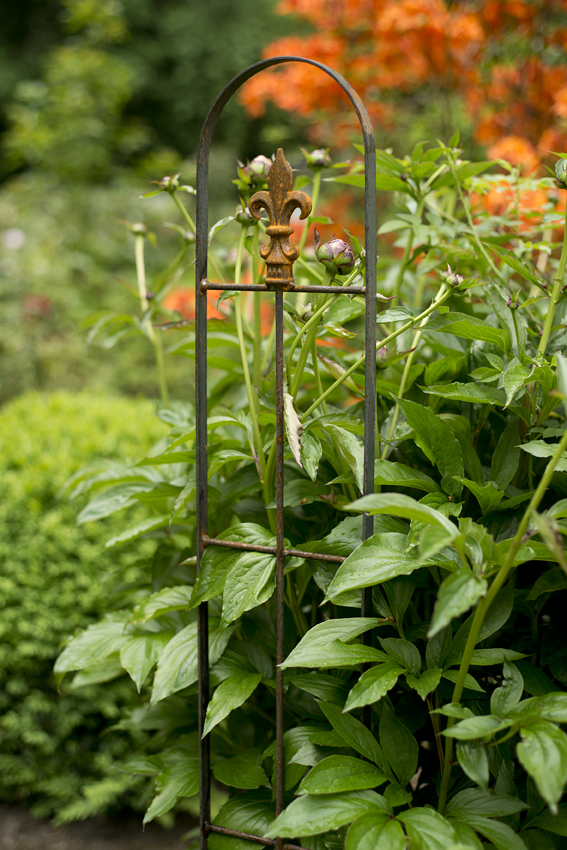 Rankhilfe für Kletterpflanzen, Rankgitter für Topf, Rankhilfe für Clematis, Gitter für Rosen, Gartengitter zum stecken, Rankgerüst für Wicken