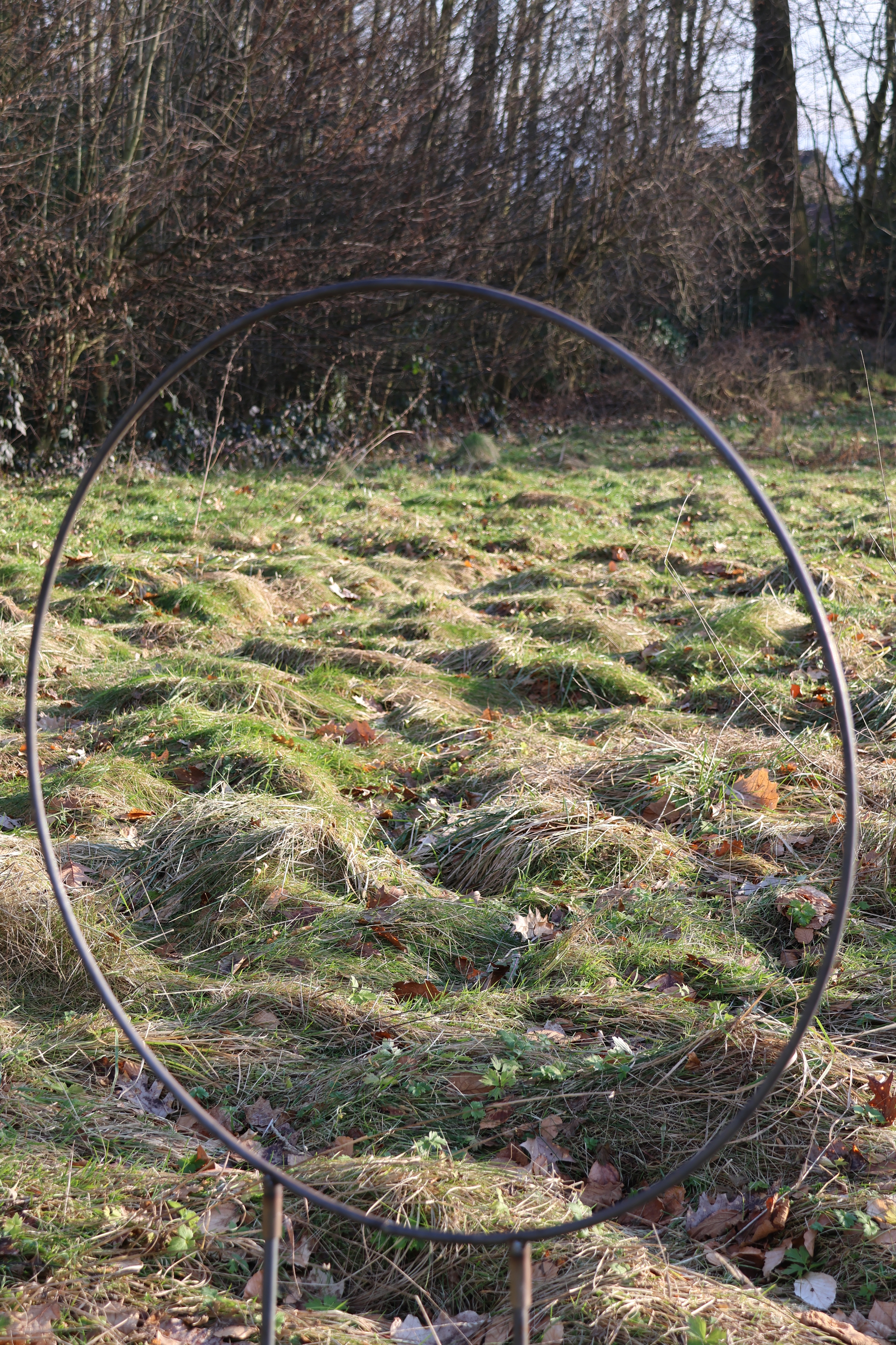 Ring auf Stab, Rankhilfe, Rankgerüst